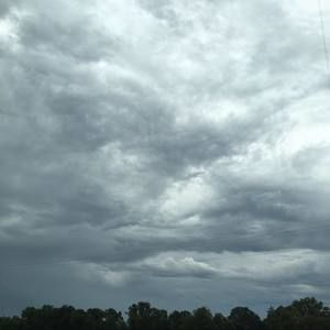 Meet your Posher, Lydia